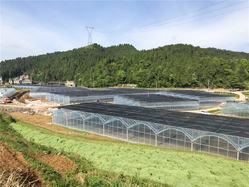 無土栽培，無土栽培技術(shù)，無土栽培設(shè)備