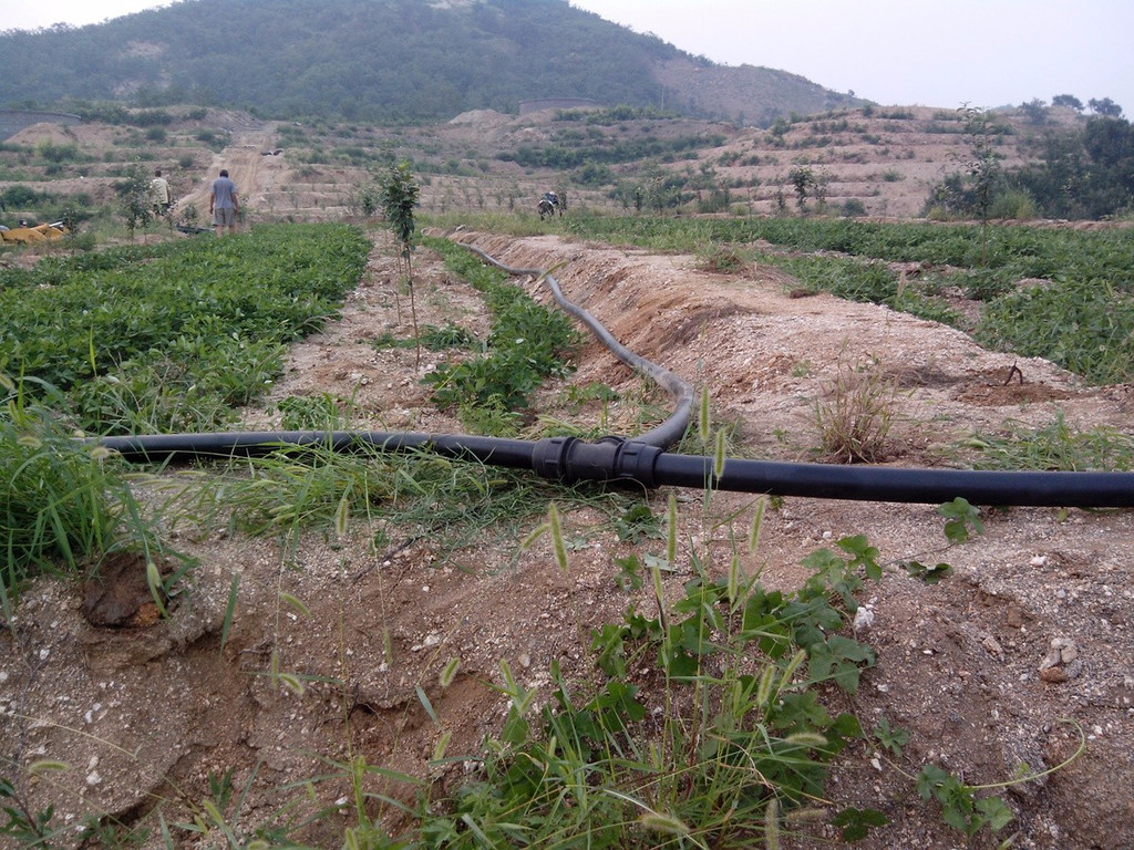 無土栽培，無土栽培技術(shù)，無土栽培設(shè)備